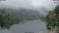 Archiv Foto Webcam Großer Arbersee - Bayerischer Wald 09:00