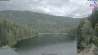 Archiv Foto Webcam Großer Arbersee - Bayerischer Wald 07:00