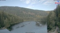 Archiv Foto Webcam Großer Arbersee - Bayerischer Wald 06:00