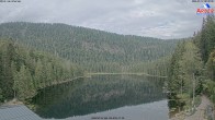 Archiv Foto Webcam Großer Arbersee - Bayerischer Wald 07:00
