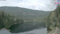 Archiv Foto Webcam Großer Arbersee - Bayerischer Wald 09:00
