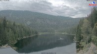 Archiv Foto Webcam Großer Arbersee - Bayerischer Wald 13:00