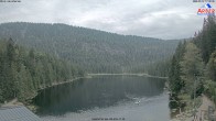 Archiv Foto Webcam Großer Arbersee - Bayerischer Wald 17:00