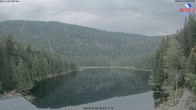Archiv Foto Webcam Großer Arbersee - Bayerischer Wald 07:00