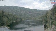 Archiv Foto Webcam Großer Arbersee - Bayerischer Wald 09:00