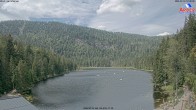 Archiv Foto Webcam Großer Arbersee - Bayerischer Wald 11:00