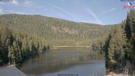 Archiv Foto Webcam Großer Arbersee - Bayerischer Wald 07:00