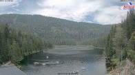 Archiv Foto Webcam Großer Arbersee - Bayerischer Wald 11:00
