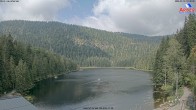 Archiv Foto Webcam Großer Arbersee - Bayerischer Wald 09:00