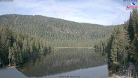 Archiv Foto Webcam Großer Arbersee - Bayerischer Wald 07:00