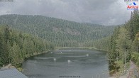 Archiv Foto Webcam Großer Arbersee - Bayerischer Wald 11:00
