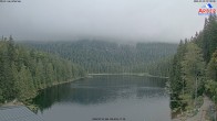 Archiv Foto Webcam Großer Arbersee - Bayerischer Wald 06:00
