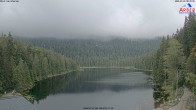 Archiv Foto Webcam Großer Arbersee - Bayerischer Wald 07:00