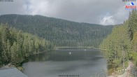 Archiv Foto Webcam Großer Arbersee - Bayerischer Wald 09:00