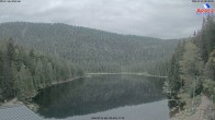 Archiv Foto Webcam Großer Arbersee - Bayerischer Wald 07:00