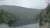 Archiv Foto Webcam Großer Arbersee - Bayerischer Wald 09:00