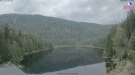 Archiv Foto Webcam Großer Arbersee - Bayerischer Wald 11:00