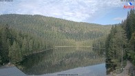 Archiv Foto Webcam Großer Arbersee - Bayerischer Wald 07:00