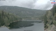 Archiv Foto Webcam Großer Arbersee - Bayerischer Wald 13:00