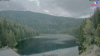 Archiv Foto Webcam Großer Arbersee - Bayerischer Wald 17:00