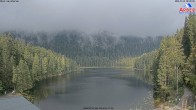 Archiv Foto Webcam Großer Arbersee - Bayerischer Wald 07:00