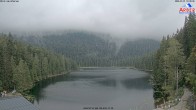 Archiv Foto Webcam Großer Arbersee - Bayerischer Wald 09:00