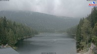 Archiv Foto Webcam Großer Arbersee - Bayerischer Wald 11:00