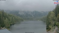 Archiv Foto Webcam Großer Arbersee - Bayerischer Wald 13:00