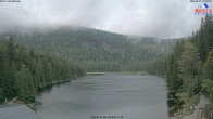 Archiv Foto Webcam Großer Arbersee - Bayerischer Wald 09:00