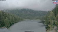 Archiv Foto Webcam Großer Arbersee - Bayerischer Wald 11:00