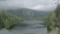 Archiv Foto Webcam Großer Arbersee - Bayerischer Wald 13:00