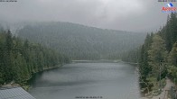 Archiv Foto Webcam Großer Arbersee - Bayerischer Wald 17:00