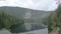 Archiv Foto Webcam Großer Arbersee - Bayerischer Wald 06:00