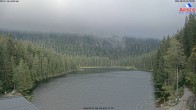 Archiv Foto Webcam Großer Arbersee - Bayerischer Wald 06:00