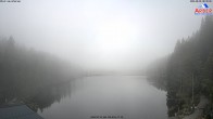 Archiv Foto Webcam Großer Arbersee - Bayerischer Wald 07:00