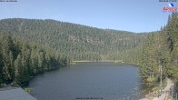 Archiv Foto Webcam Großer Arbersee - Bayerischer Wald 09:00