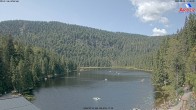 Archiv Foto Webcam Großer Arbersee - Bayerischer Wald 11:00
