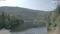 Archiv Foto Webcam Großer Arbersee - Bayerischer Wald 13:00