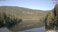 Archiv Foto Webcam Großer Arbersee - Bayerischer Wald 07:00