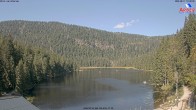 Archiv Foto Webcam Großer Arbersee - Bayerischer Wald 09:00