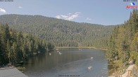 Archiv Foto Webcam Großer Arbersee - Bayerischer Wald 11:00