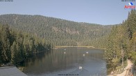 Archiv Foto Webcam Großer Arbersee - Bayerischer Wald 09:00