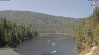 Archiv Foto Webcam Großer Arbersee - Bayerischer Wald 11:00