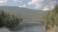 Archiv Foto Webcam Großer Arbersee - Bayerischer Wald 11:00