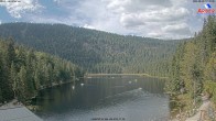 Archiv Foto Webcam Großer Arbersee - Bayerischer Wald 11:00