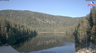 Archiv Foto Webcam Großer Arbersee - Bayerischer Wald 07:00