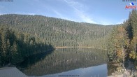 Archiv Foto Webcam Großer Arbersee - Bayerischer Wald 06:00