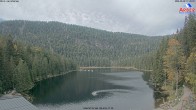 Archiv Foto Webcam Großer Arbersee - Bayerischer Wald 08:00