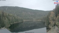 Archiv Foto Webcam Großer Arbersee - Bayerischer Wald 07:00