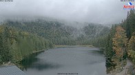 Archiv Foto Webcam Großer Arbersee - Bayerischer Wald 08:00